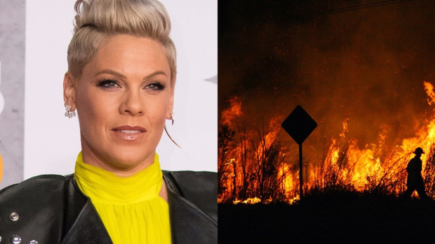 Real-Life Superhero: 'Thor' Chris Hemsworth Donates 23 Billion VND to Support Firefighters and Victims in Australia's Bushfire Disaster 3 Singer Pink donates 500 thousand USD.