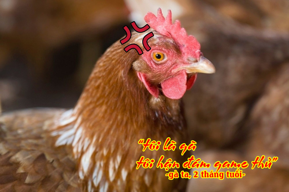 As a chicken, never show up in online games
