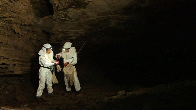 Scientists searching for bats in South Africa. Photo: CNN