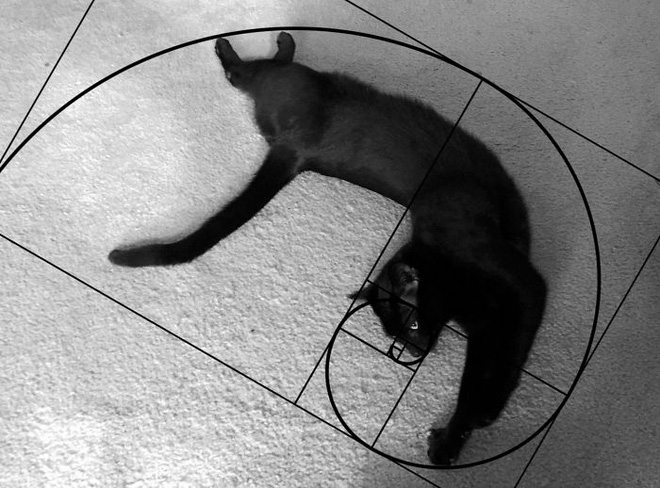 Also a golden ratio but in a different posture.