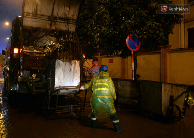 This is part of the flower tree left behind by people after not selling out on the 30th of Tet.