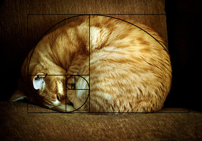 Perfect in every curve, no deviation whatsoever.
