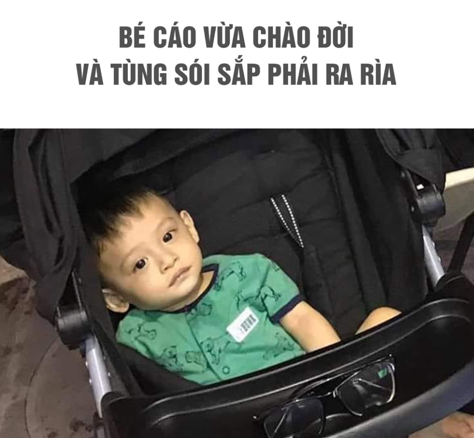 aaa 15816040600701867406809