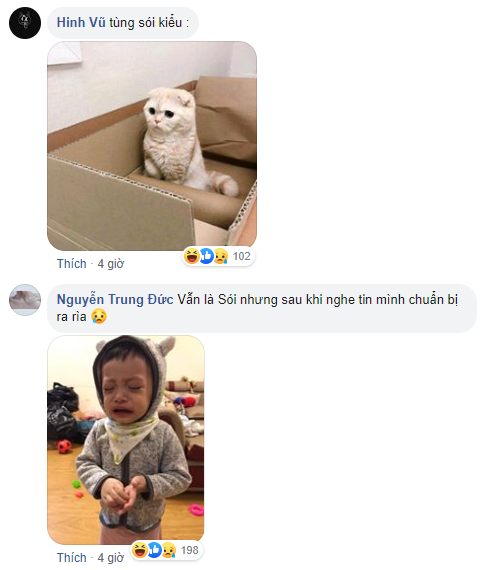 Tung Sói is the most trolled victim after Cáo's birth
