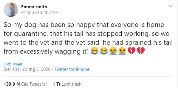 Covid-19 has made this dog's home always lively, and he is so happy that he sprained his tail from wagging too much.