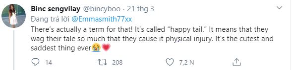 “There’s even a term for this issue! It’s called 'happy tail'. It occurs when dogs wag their tails so much that they get injured. This might be one of the saddest yet cutest things ever.”