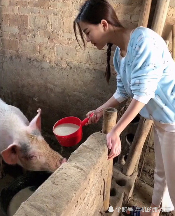 The image of the girl feeding pigs is causing a stir