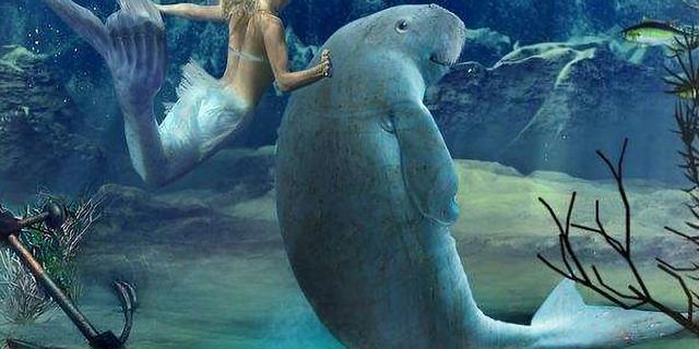 Why Are Marine Creatures Mainly Predators and Herbivorous Sea Animals Are Rarely Seen? 2 photo 1 1586592405079132575641 1