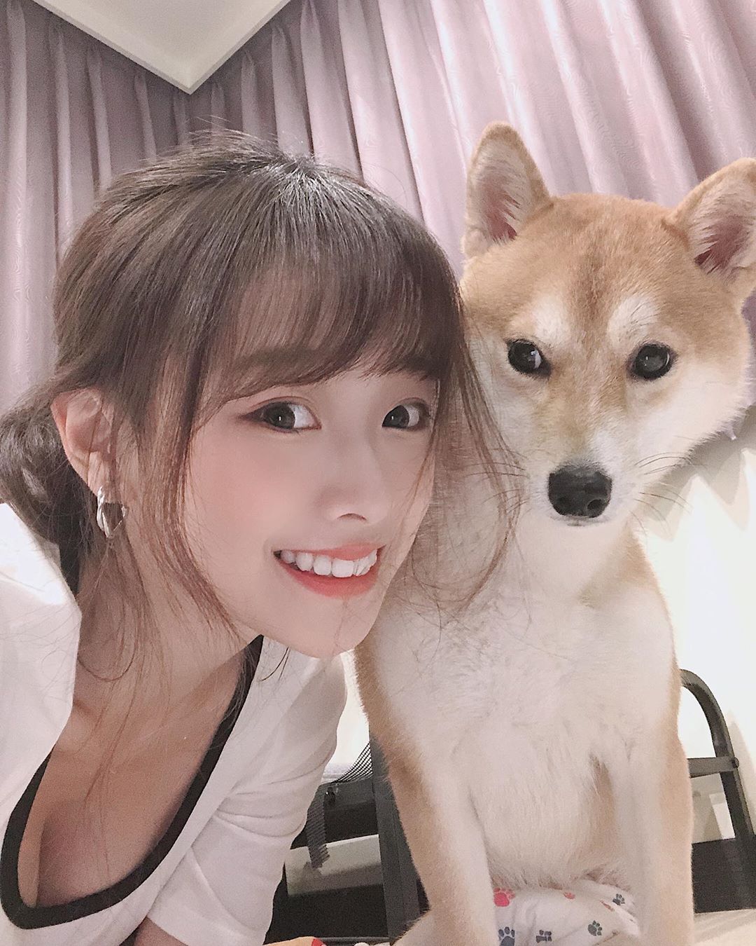 Accidentally Bending on Stream, Beautiful Female Streamer Reveals Surprising Cleavage, Views Soar 5 It's unclear whether Hana the dog has done something good or caused trouble for her owner