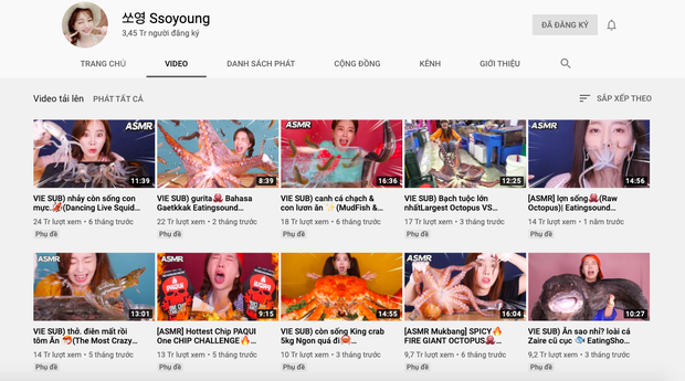 Since uploading her first video to YouTube in early December 2018, Ssoyoung's channel has reached nearly 400 million views and over 3.45 million subscribers.