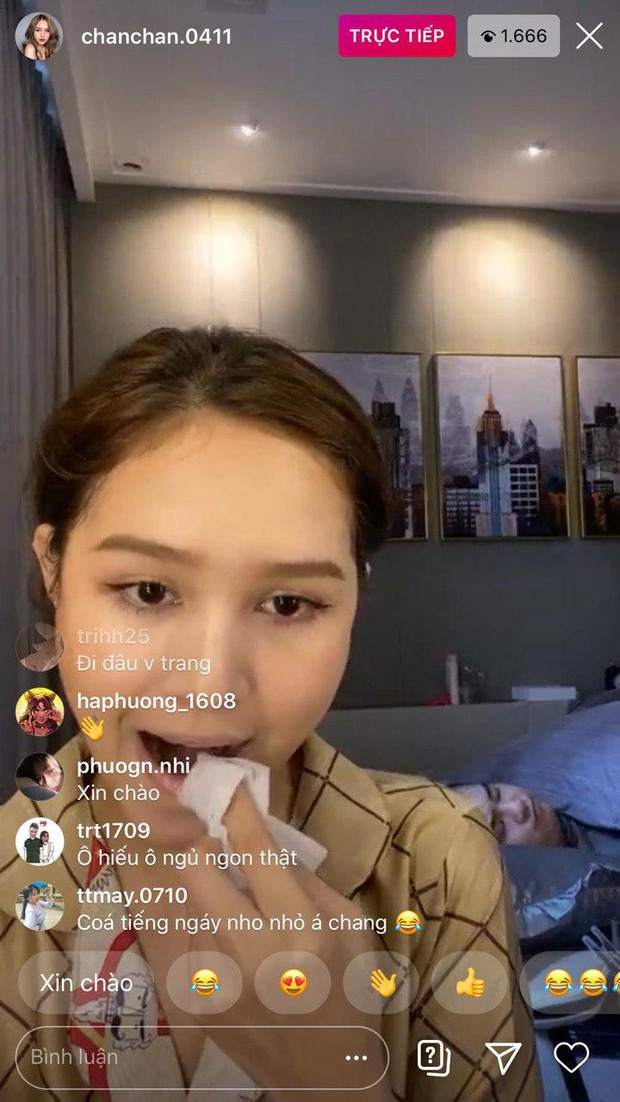 While Xoài Non is livestreaming, Xemesis is sound asleep right behind her