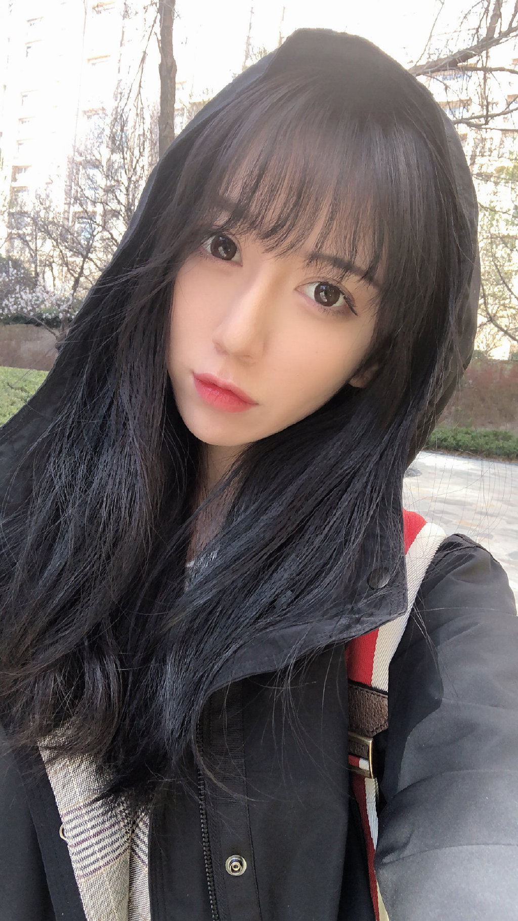 Many people expressed concern as now female streamers seem to prefer tricks to gain fame
