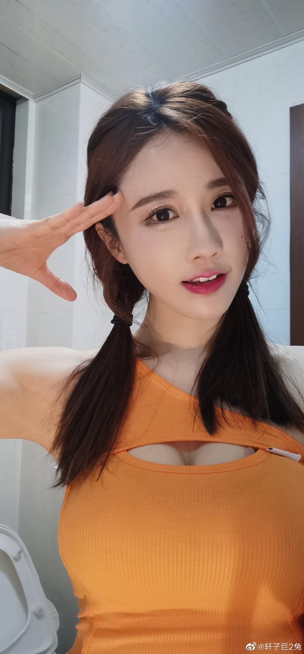 Rabbit - the streamer in the story