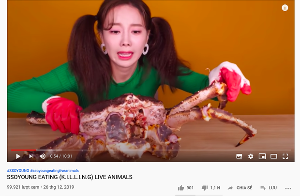 Another video compiling all the moments of Ssoyoung torturing animals in her videos received more dislikes than likes.