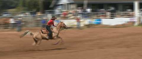 photo 15 1587487139991964817381