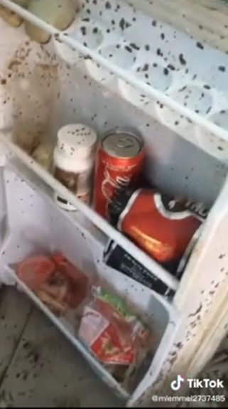 A student recorded a video showcasing her dorm room, focusing on the fridge covered with maggots.
