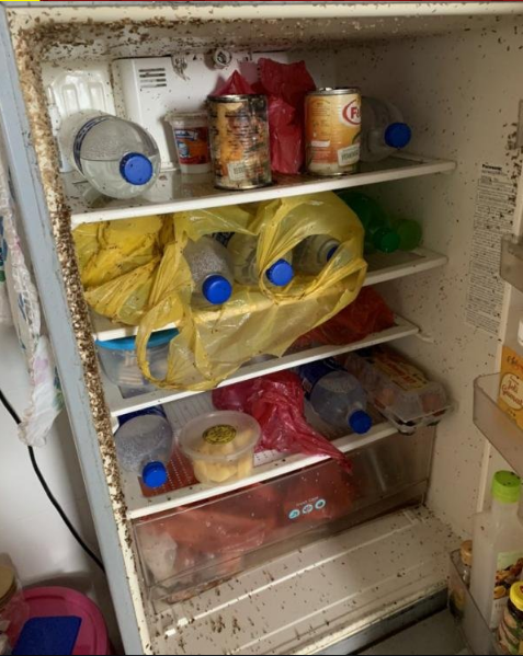 Instead of relaxing after moving to the city, she had to face a mountain of work, including cleaning her belongings.