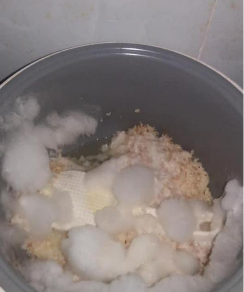 The food has also completely gone moldy.