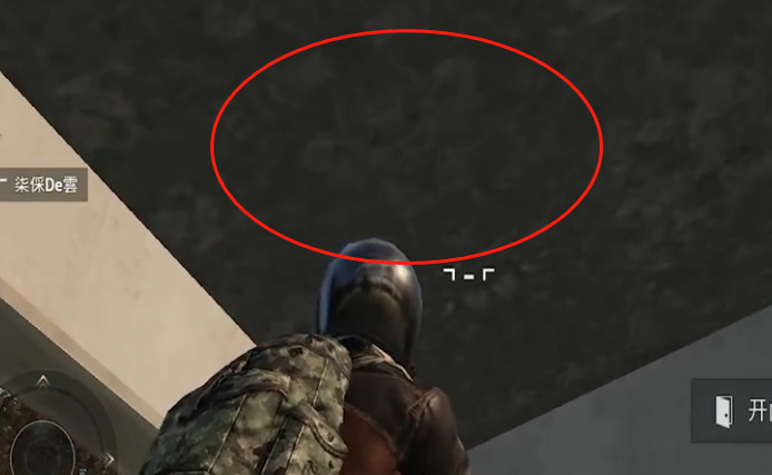 Can you clearly see what kind of creature this is?