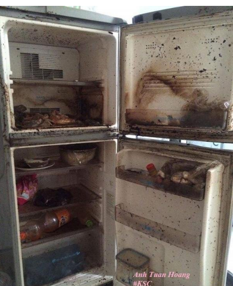According to the student, she thought she would be away for just a few weeks, so she forgot to clean the fridge thoroughly.