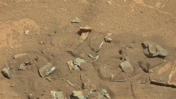 Objects resembling bones captured on the Martian surface have led many to speculate about the existence of living creatures, although scientists suggest that they are merely rocks eroded over time.