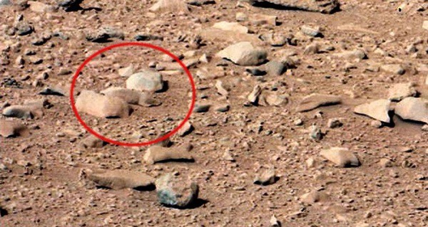 Even though it is just a small rock captured by Curiosity in the sand dune area, some UFO enthusiasts have likened it to a large rodent-like creature still existing.