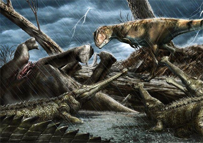 The Cretaceous Sahara was once home to the most dangerous and gigantic predators in the history of the planet - (photo: Davide Bonadonna)
