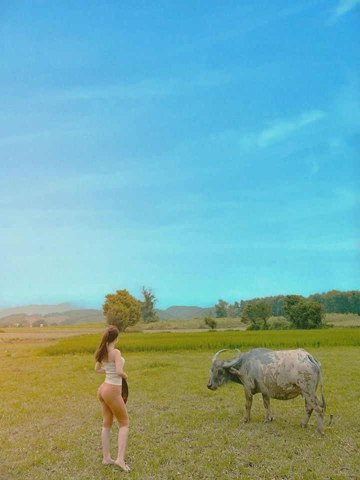 The image of the hot girl herding buffalo has also been very hot these days