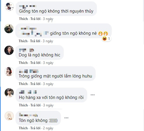 The online community expresses surprise and delight at the 'distant relative' of Sun Wukong
