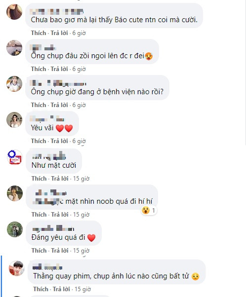 The online community's hilarious reactions to the fierce jaguar