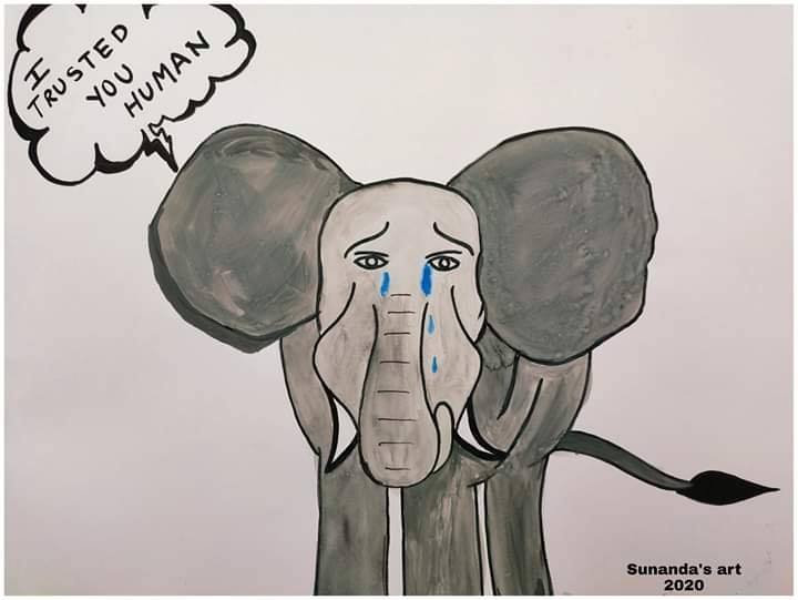 The elephant could not escape the tragic death.