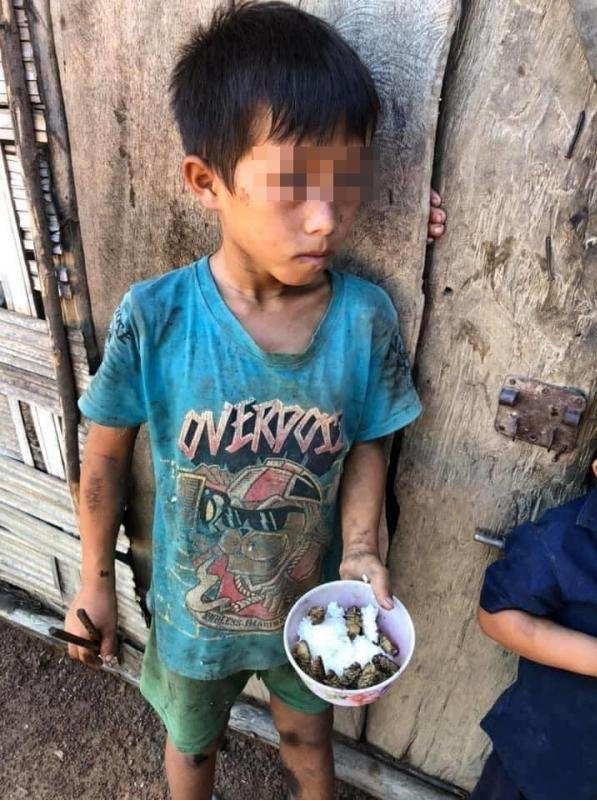The children's meal consists only of cold rice and cicada bodies.