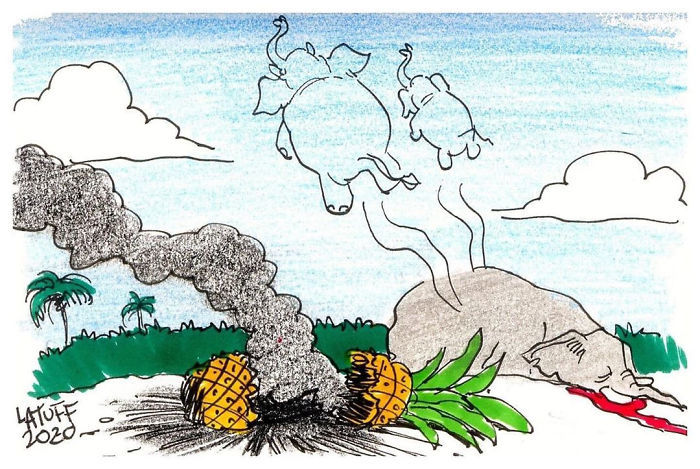 An image of the two elephants who died just because of a pineapple containing explosives that evokes strong emotions.