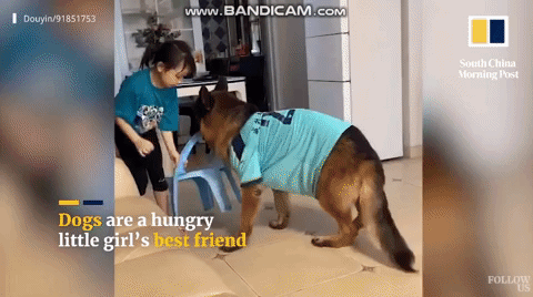 Nuomi retrieves and holds the chair for its owner to get items from the cupboard.