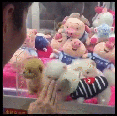 The puppies are turned into stuffed animals for the owner to comfortably 'fish'.