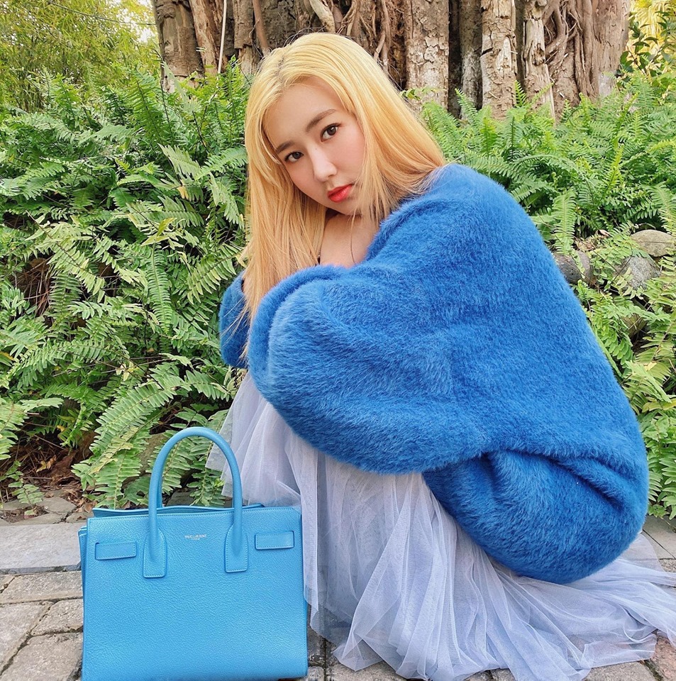 YSL bag worth 55 million VND