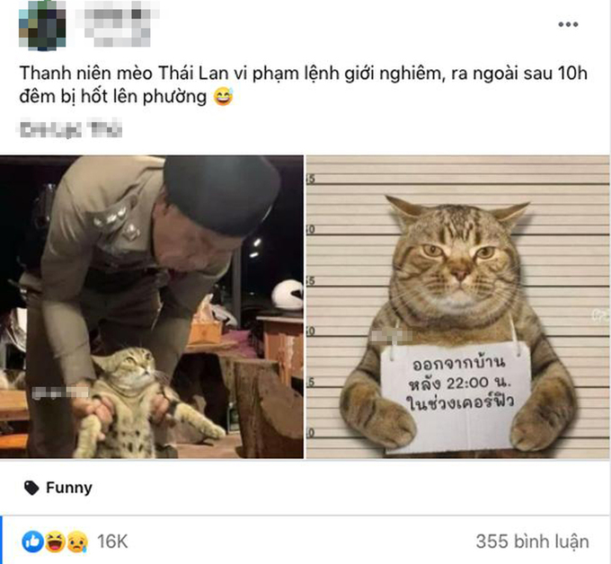 The post that has been trending in the online community these days