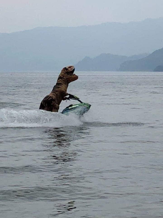These photos are hard to believe at first glance