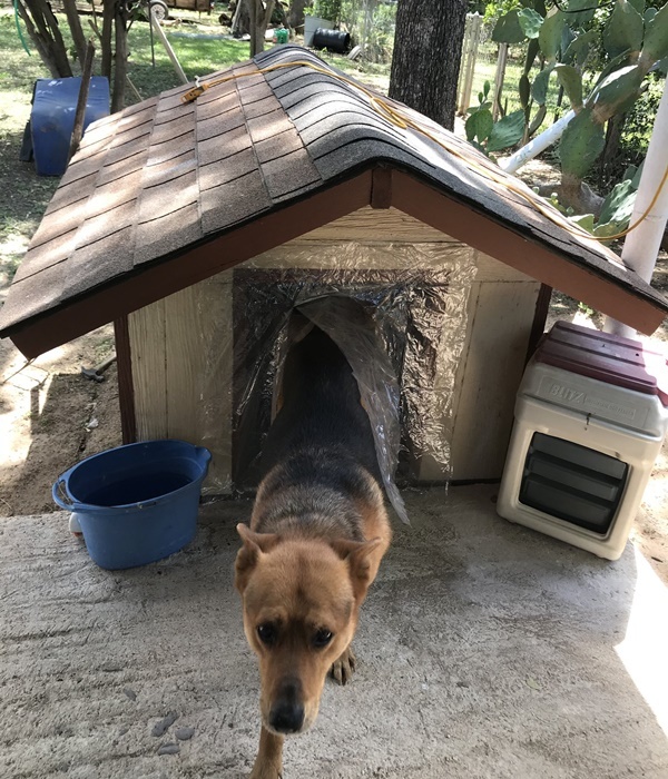 Close-up of Rosh's house