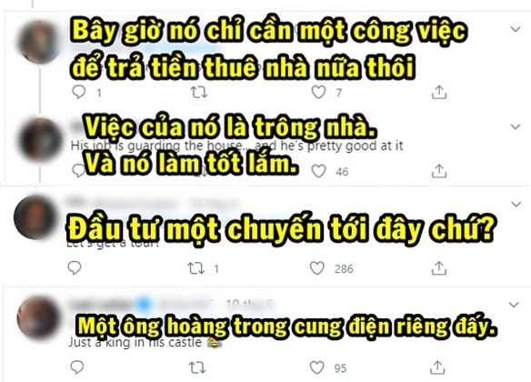 Netizens show their humor with the image