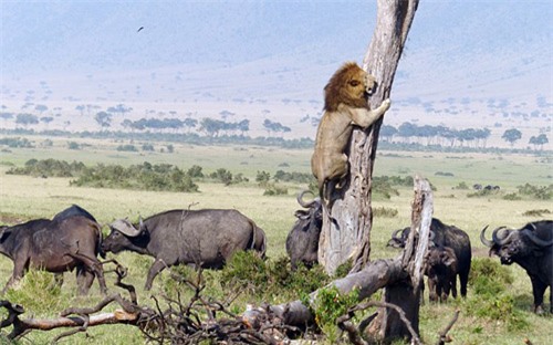 The photo that is causing a stir in the online community