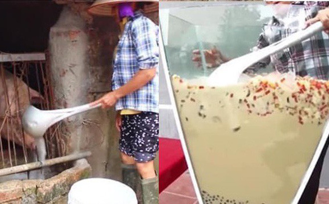 This image of Mrs. Tan Vlog has also sparked much controversy