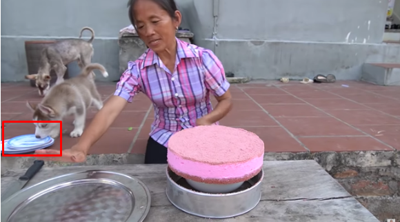 But the detail of the small dog 'licking the plate' behind her caught everyone's attention
