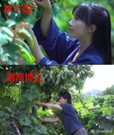 The following images also show similarities