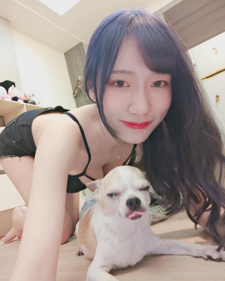 The bold showcase of pets by the hot girl