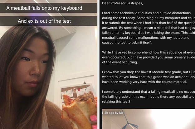 "It fell directly onto the Escape key and closed my browser." She told BuzzFeed News.