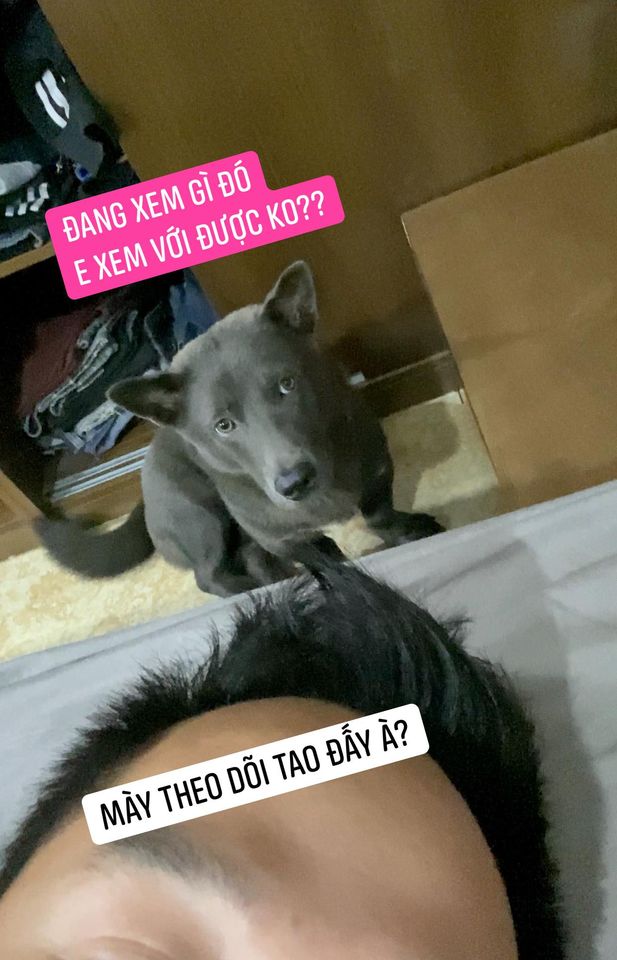 The information above is just 'fake'; Dúi is still very fit and living happily and freely.