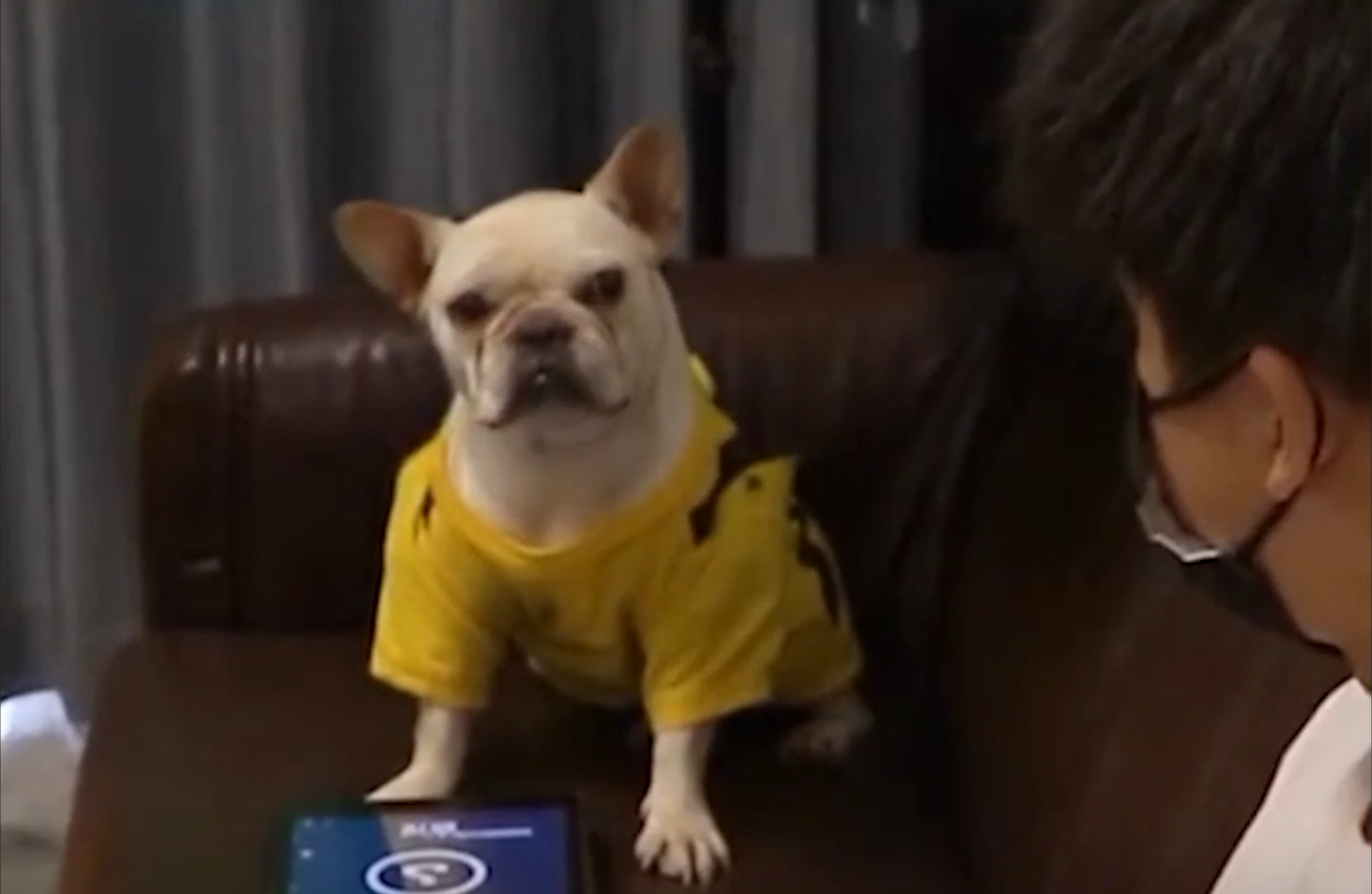 The face full of anger at that moment