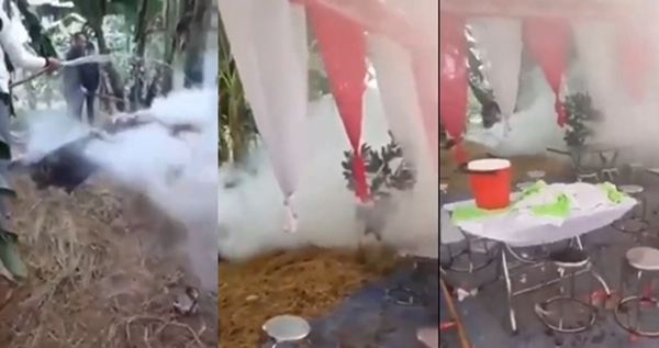 The devastation of the wedding