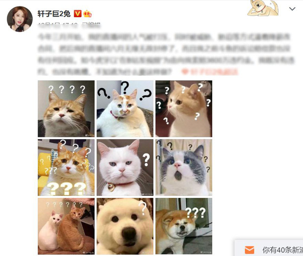 The female streamer’s post on Weibo social media